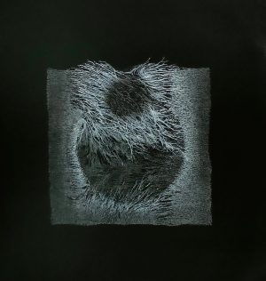 Hansa Milan Kumar: Rise 1