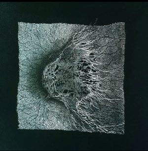 Hansa Milan Kumar: Creation of life 5