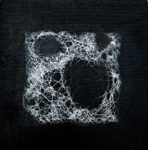 Hansa Milan Kumar:  Creation of Life 8