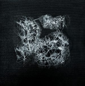 Hansa Milan Kumar:  Creation of life 9