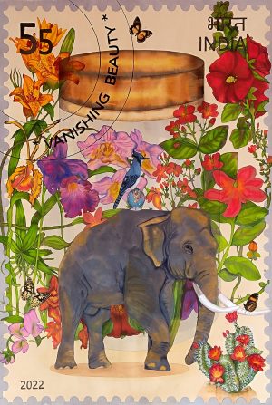 Manisha Agrawal : Untitled-222