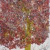 Bhaskar Rao : Untitled