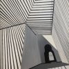 Shailja Sharma : Untitled